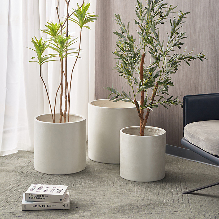 Live house plants pot Live house plants pot Free Sample