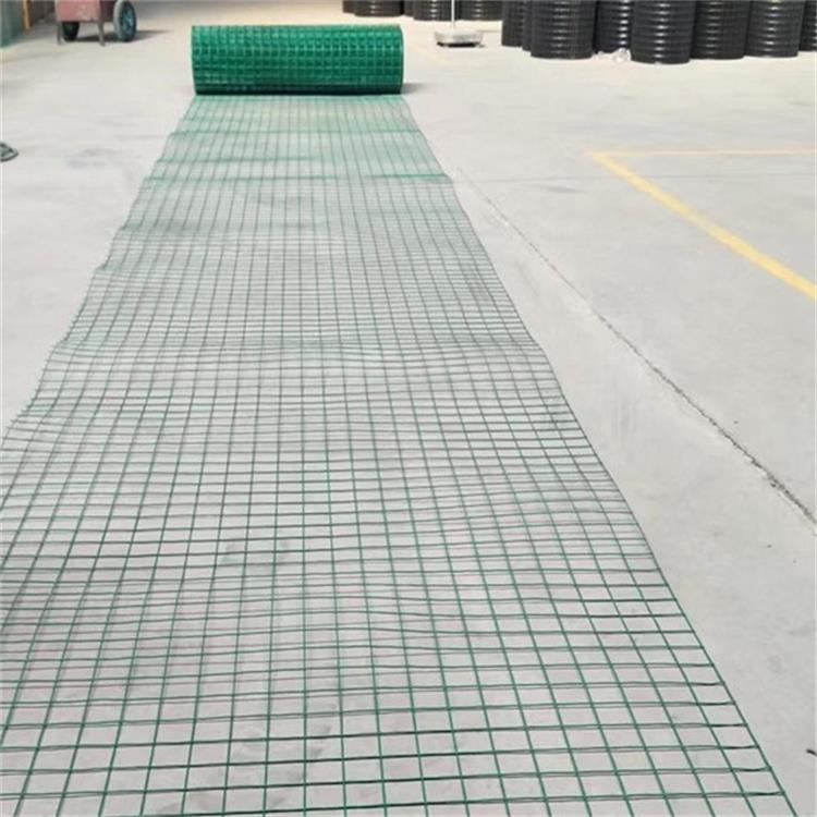 pvc wire mesh (3)_看图王