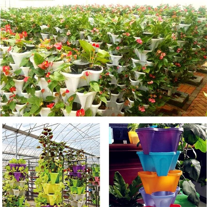 详情图_7_看图王