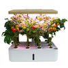 Smart Garden Home Indoor Fiberglass Vegetable Planters Box Artificial Plant Plastic Self Watering Flower Pot
