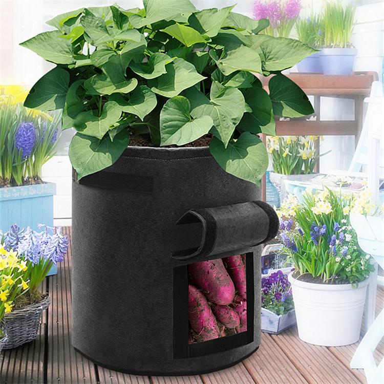 Are Fabric Pots Reusable? Naturalzones