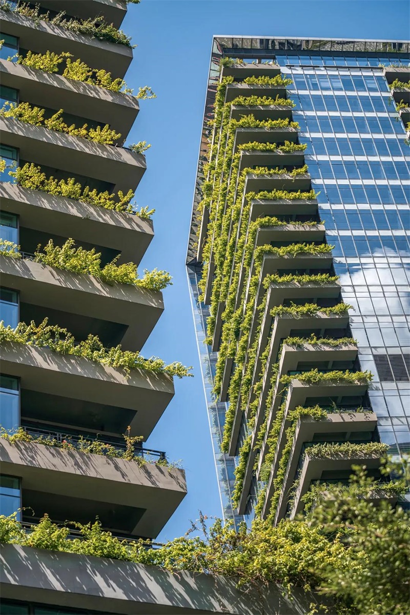 mmexport1639143888074