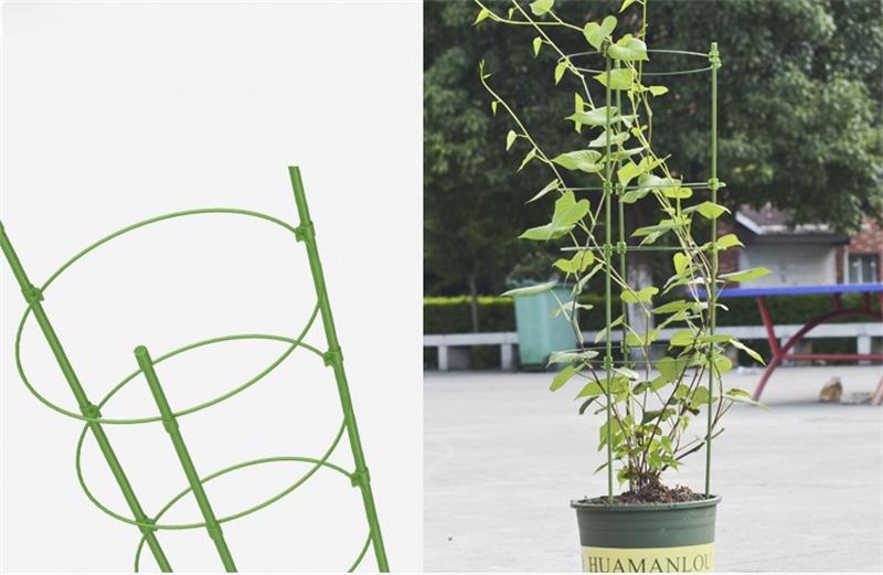 O1CN01zAd15T1oKr4o1AUcP_!!2925925207-0-cib_看图王