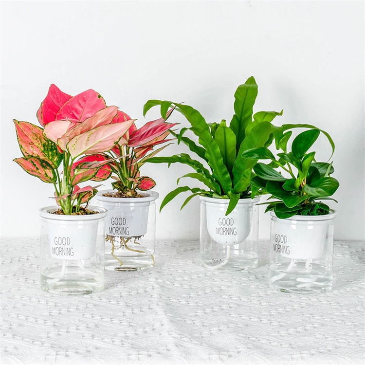 Fashion Simple Plastic Flower Pots