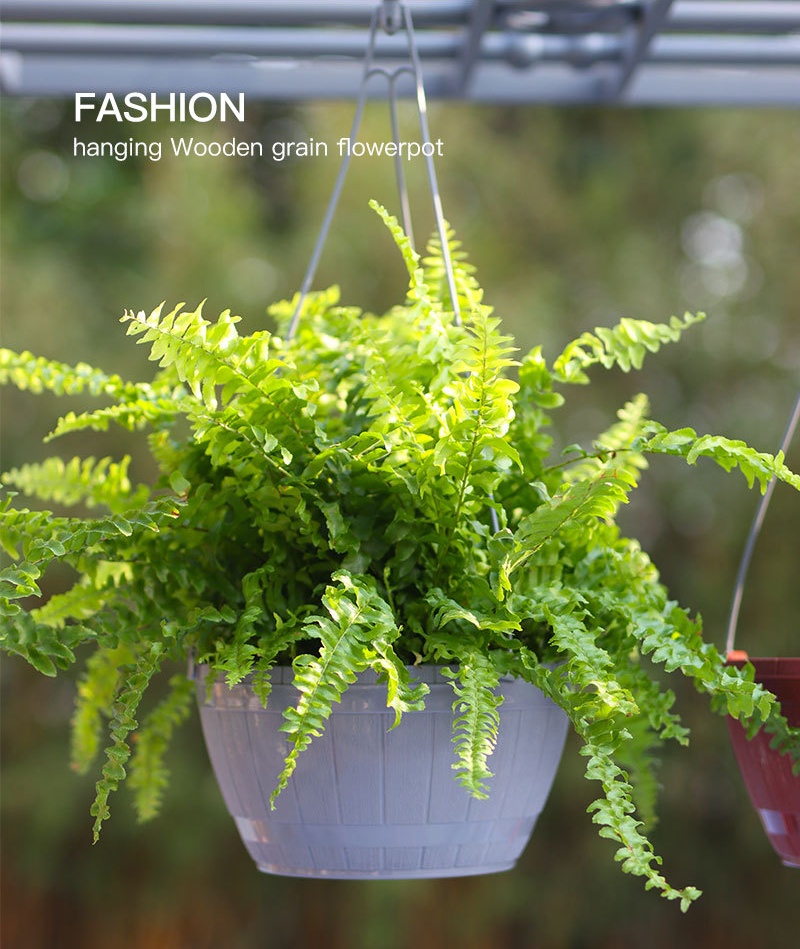 详情图_21_看图王