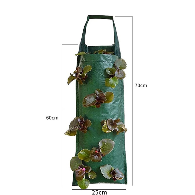 Customized PE Vertical Hanging 3D Plant Bag suppliers