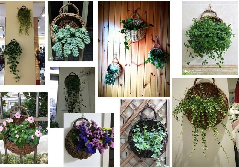 O1CN01paxgxb23lcaSLGw9g_!!2216762367296-0-cib_看图王