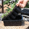 12 Holes Nursery Site Black Plastic Seedling Planter Tray 20 Holes Grow Germination Tray Container
