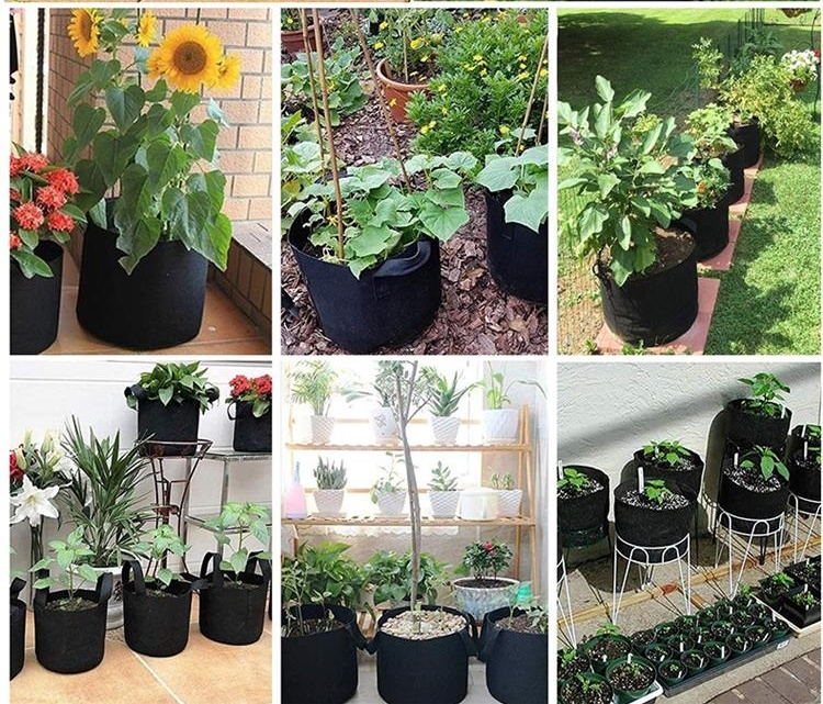 vegetable potato growing bags