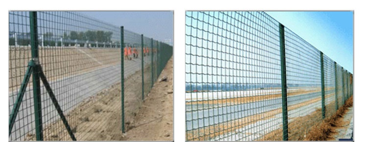 pvc wire mesh (2)