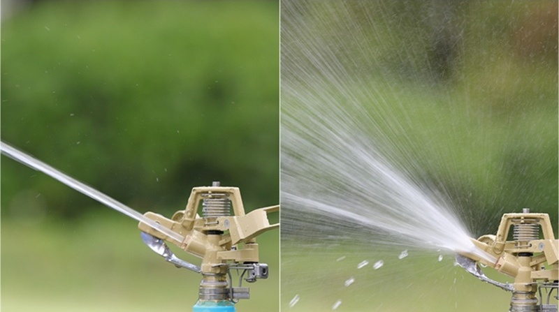 O1CN01nQ1Ypu22tZeuF9ayc_!!3193177178-0-cib_看图王