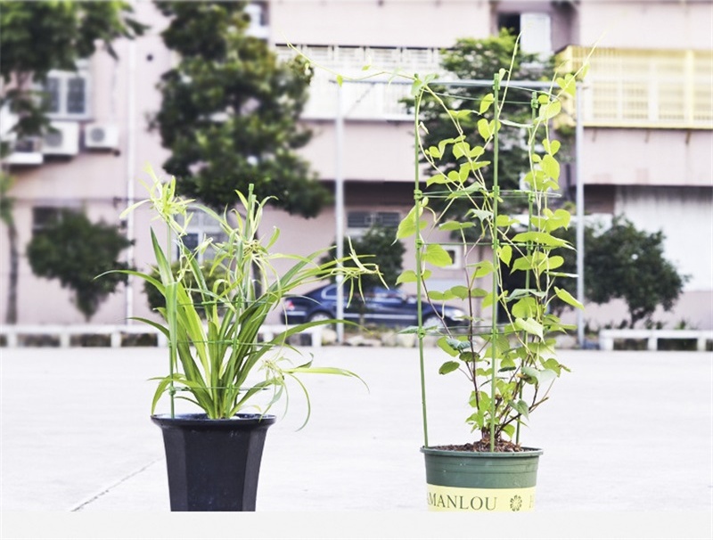 O1CN01uScp1F1oKr4kmtExj_!!2925925207-0-cib_看图王