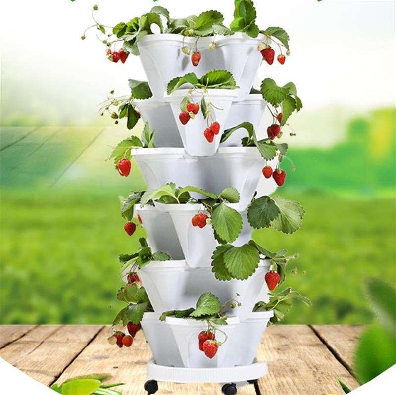 详情图_1_看图王