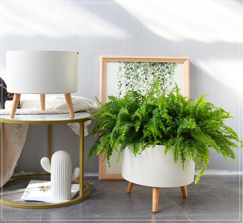 详情图_31_看图王