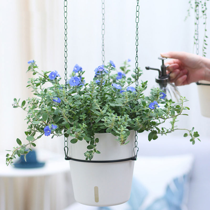 2 Tiers Plastic Hanging Flower Pots Home Garden Vegetable Self Watering Plant Pot for Indoor Outdoor Plants