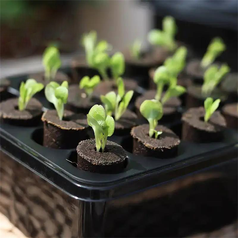12 Holes Nursery Site Black Plastic Seedling Planter Tray 20 Holes Grow Germination Tray Container