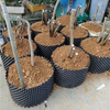 Garden Root Control Container Planter Plant Transplantation Seedling Growth Root Control Device