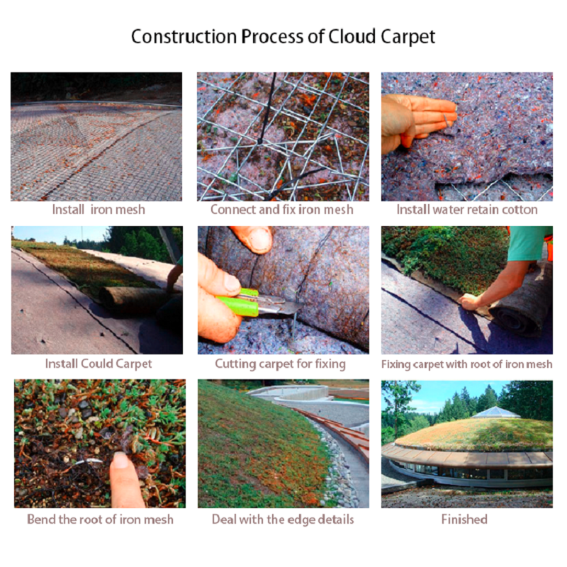 Cloud Carpet-8 800-800