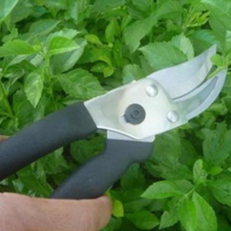 Gardening Scissors (2)