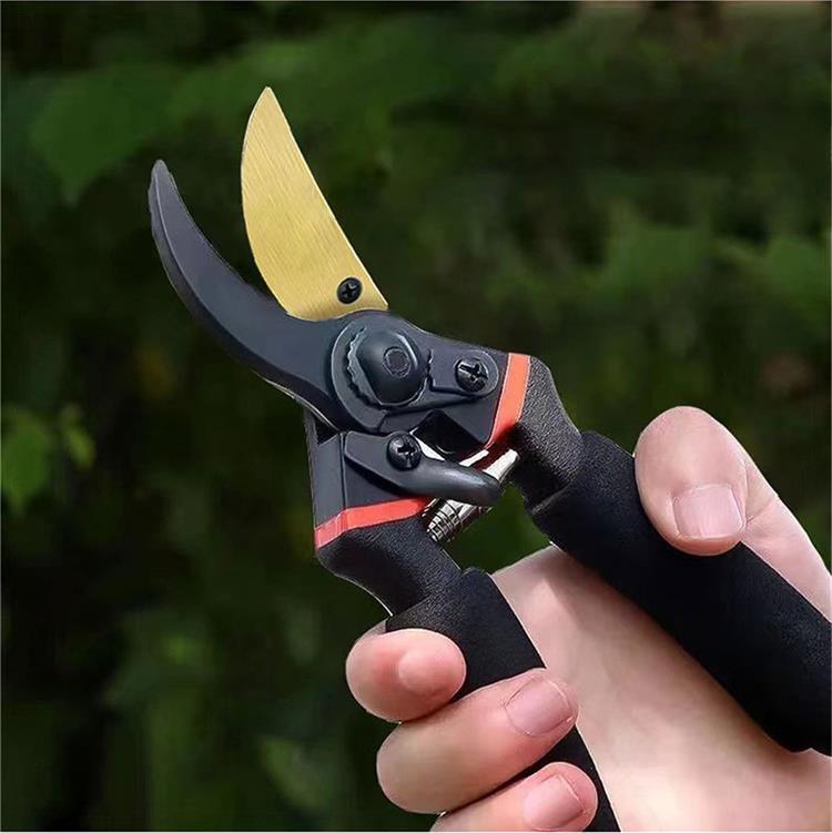 The Ultimate Guide to Garden Scissors