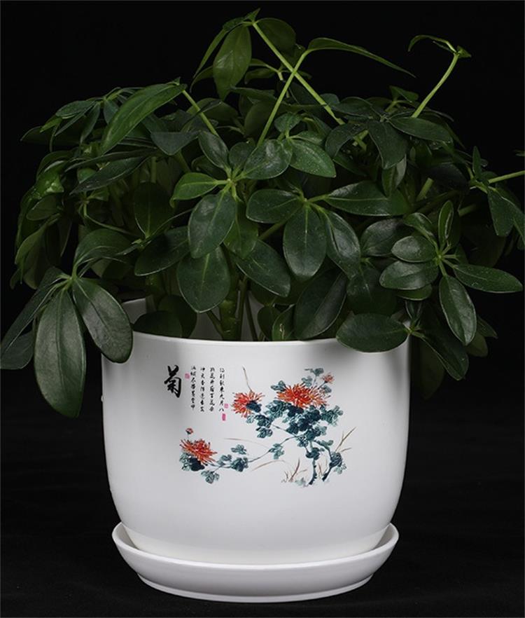 Mei LAN Bamboo Chrysanthemum Imitation Pottery Porcelain Flower Pots (1)