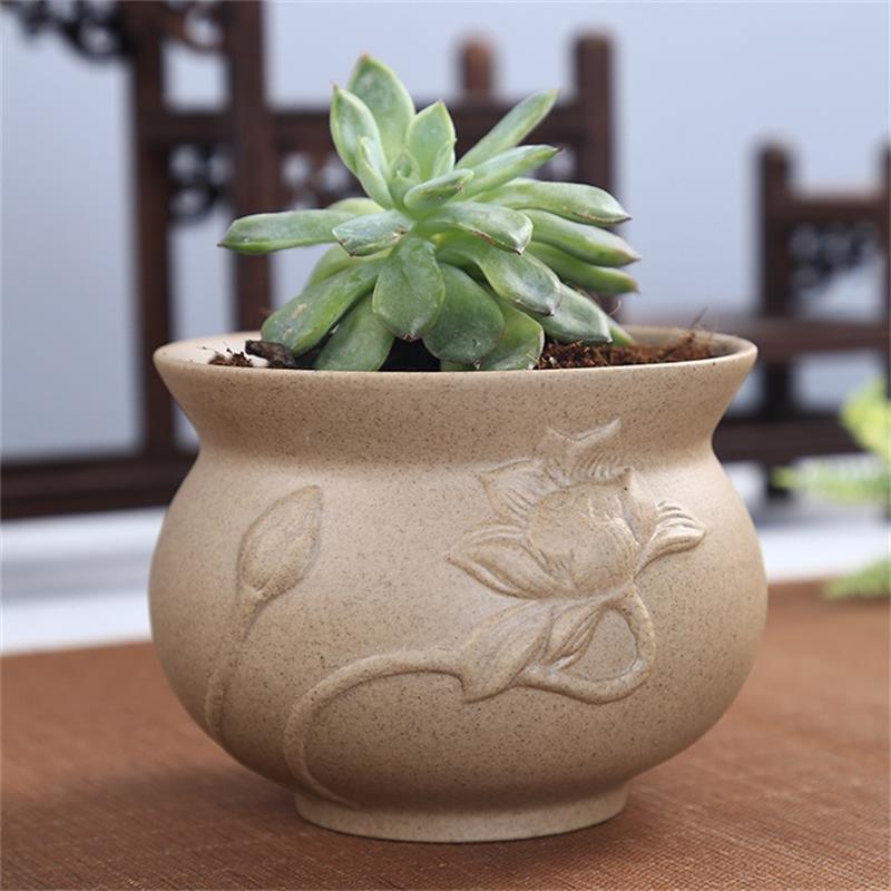 Succulent Ceramic Pottery Pots
