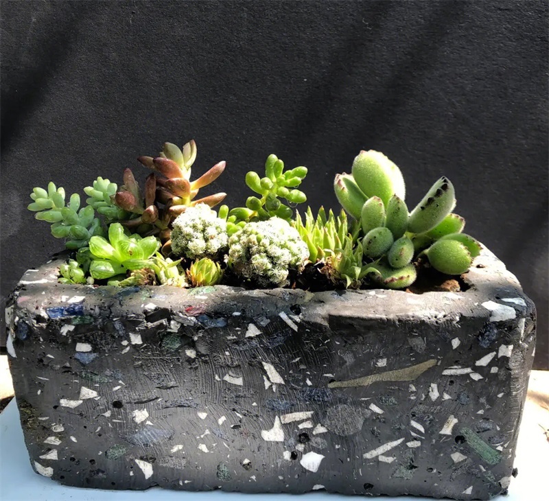 Cement Pots and Planters (7)