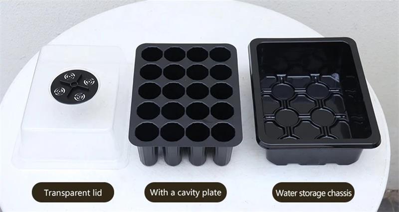 He0483b9188344836bca35bc881721a6dO_看图王(2)