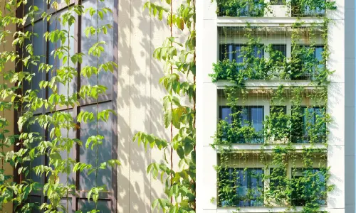 Why Is Vertical Gardening So Important?