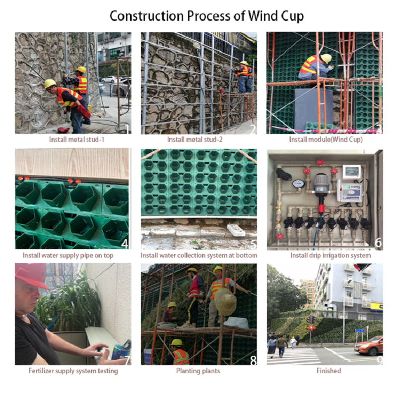 Wind Cup-2 800-800