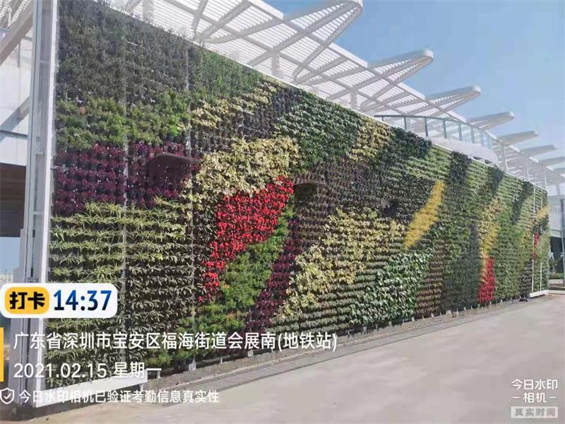 新国际会展中心休闲带&mdash;&mdash;风杯花盒 (10)