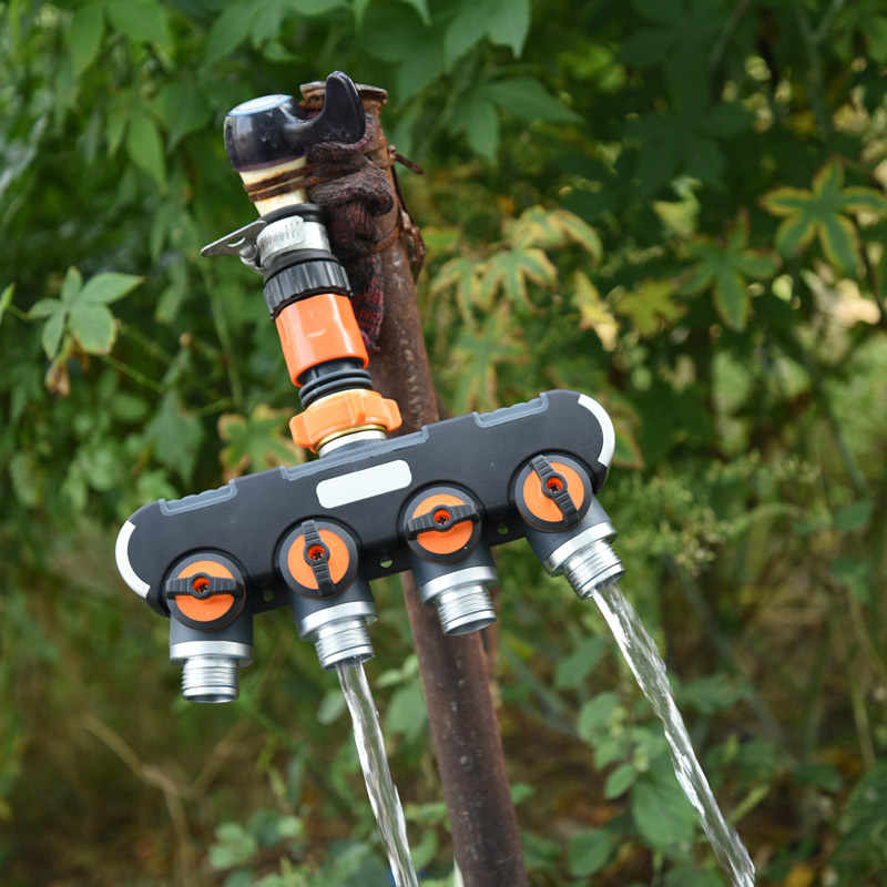 10463579483_441870057