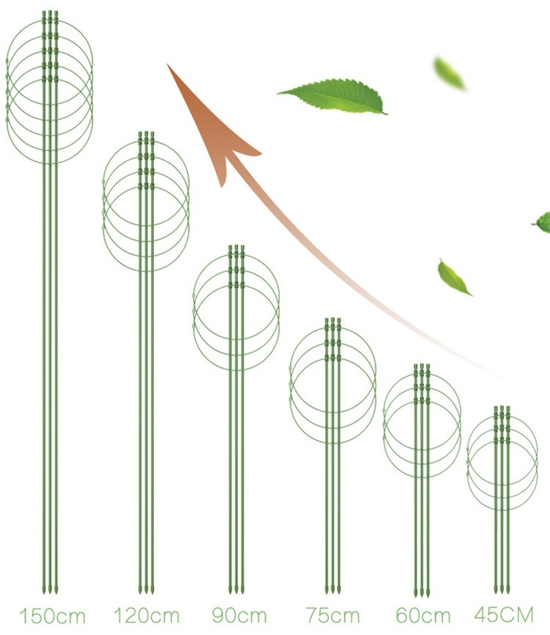 O1CN014vbqqZ1oKr4cGByWi_!!2925925207-0-cib_看图王