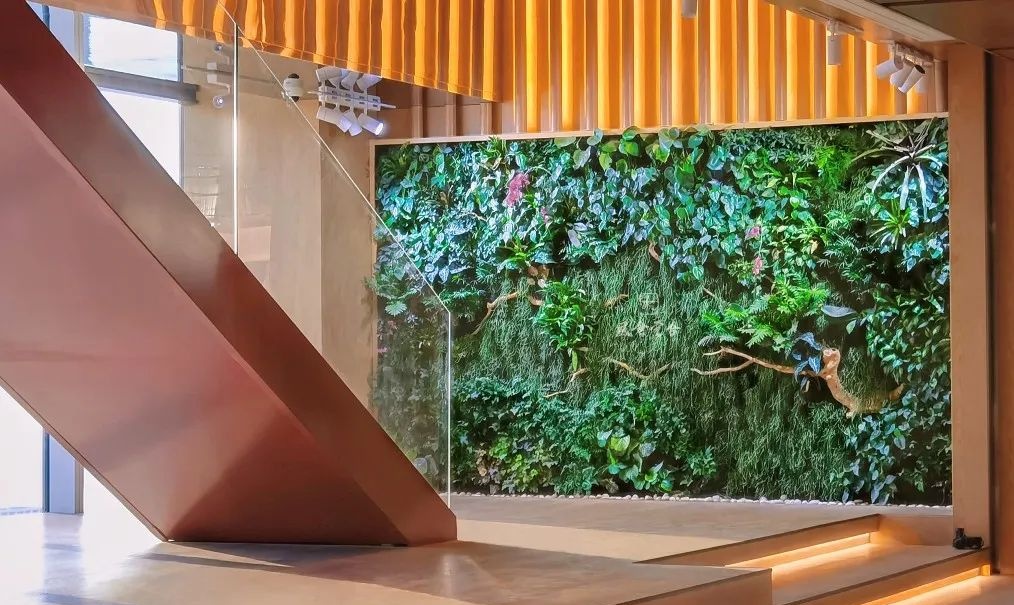 东侧实景图_看图王