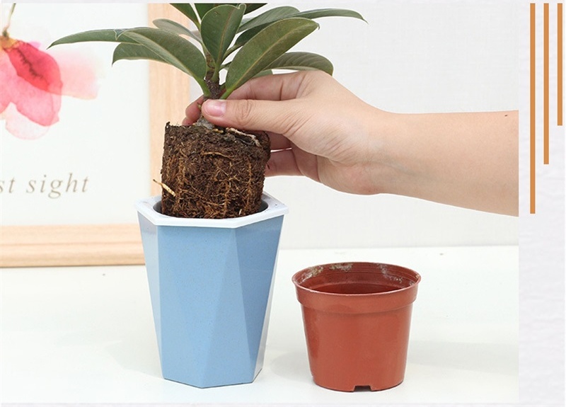 详情图_36_看图王