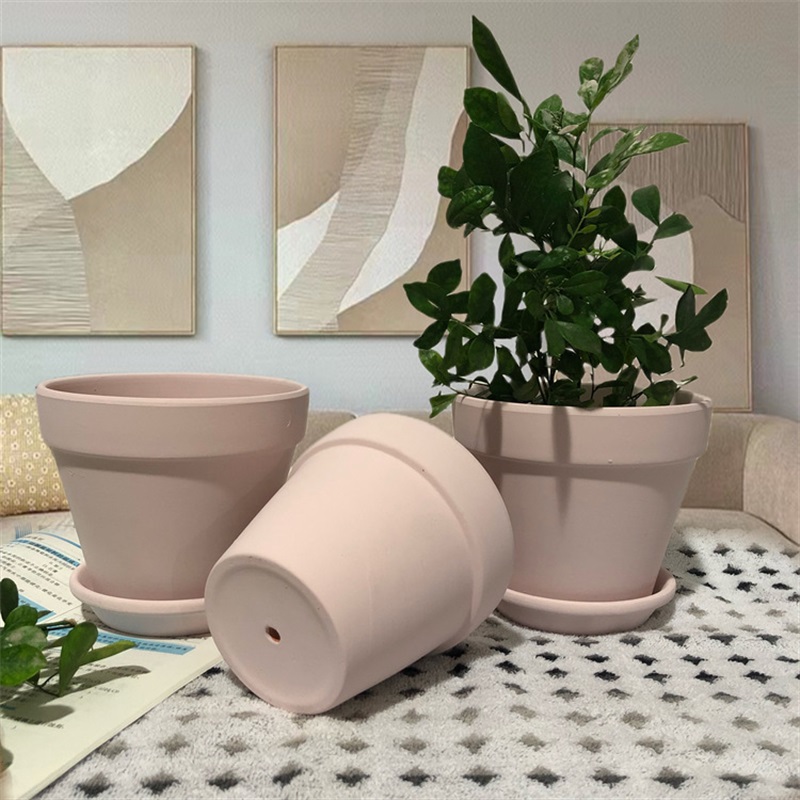 Which Is Better for Plants: Concrete or Terracotta Pots?