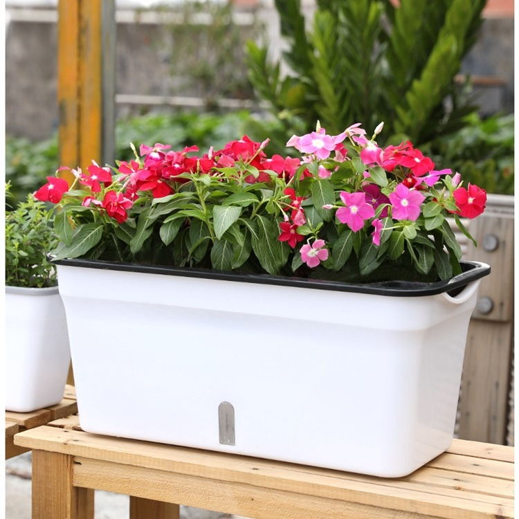 Plastic Flower Vegetable Plant Planter Box Basin Beds Containers