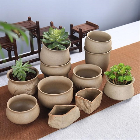 Succulent Ceramic Pottery Pots.jpg