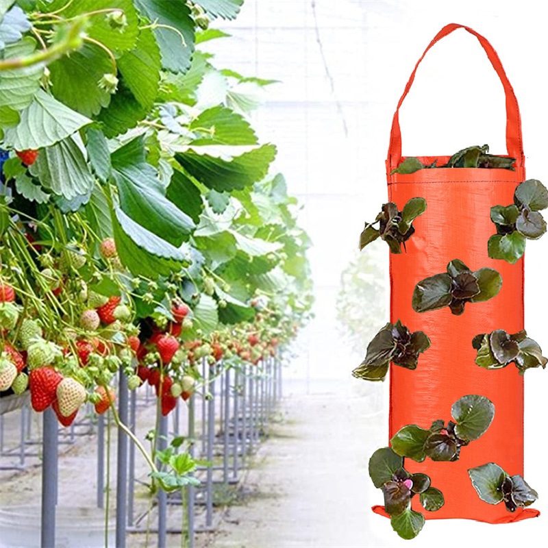 New Vertical Strawberry Planting Bag