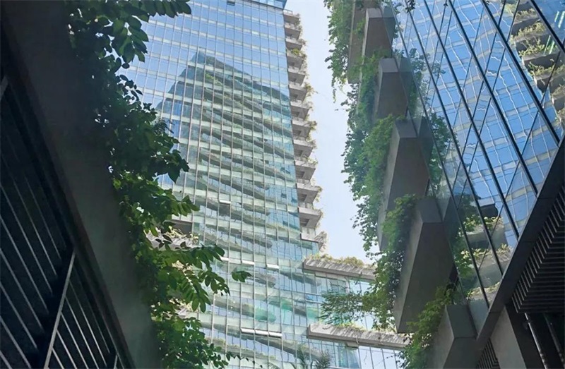 wind grid碧桂园凤凰智谷4