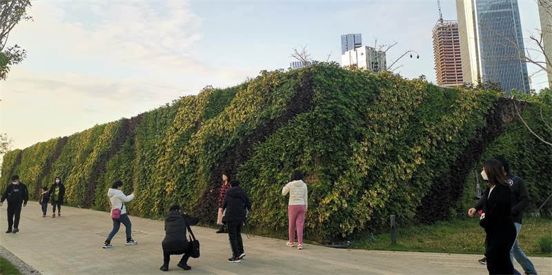 前海桂湾公园挡墙--风韵铺贴工艺 (1)_看图王