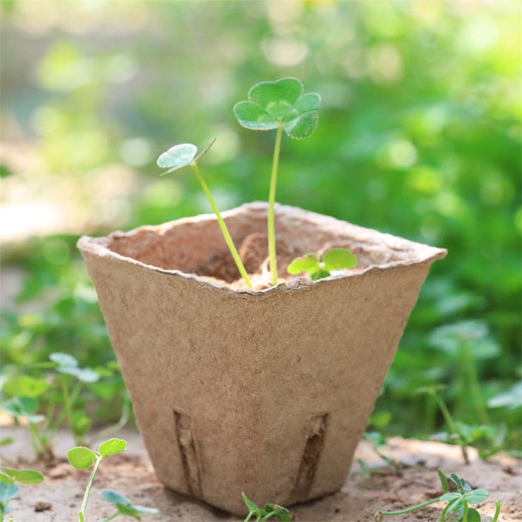 Eco-friendly Paper Nursery Cup