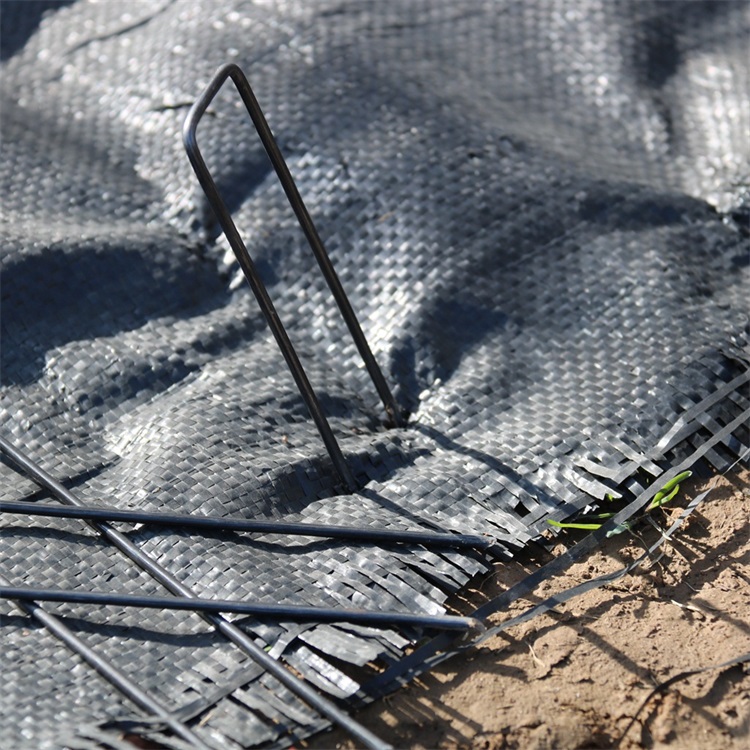 Lawn and Garden Staples Stake (26)