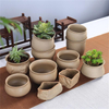 Succulent Ceramic Pottery Pots