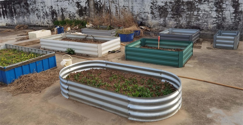 Metal Oval Galvanized Garden raised Beds