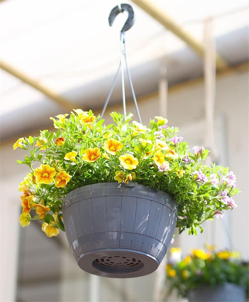 详情图_16_看图王