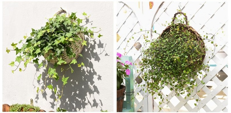 O1CN01s0LTeM23lcaW1bWBK_!!2216762367296-0-cib_看图王