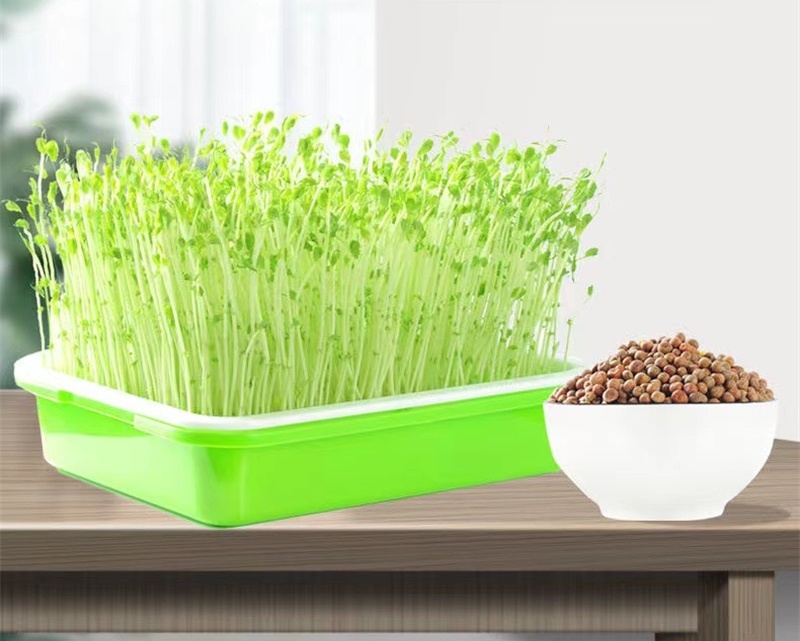 详情图_5_看图王