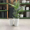 Simple Style Round Magnesium Cement Flowerpot Suitable for Shopping Malls Offices Balcony Factories