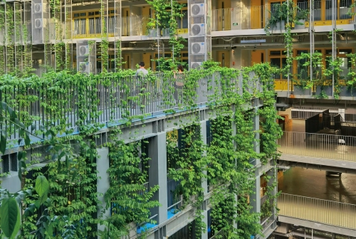 A Brief Overview of the Benefits and Drawbacks of Vertical Gardening